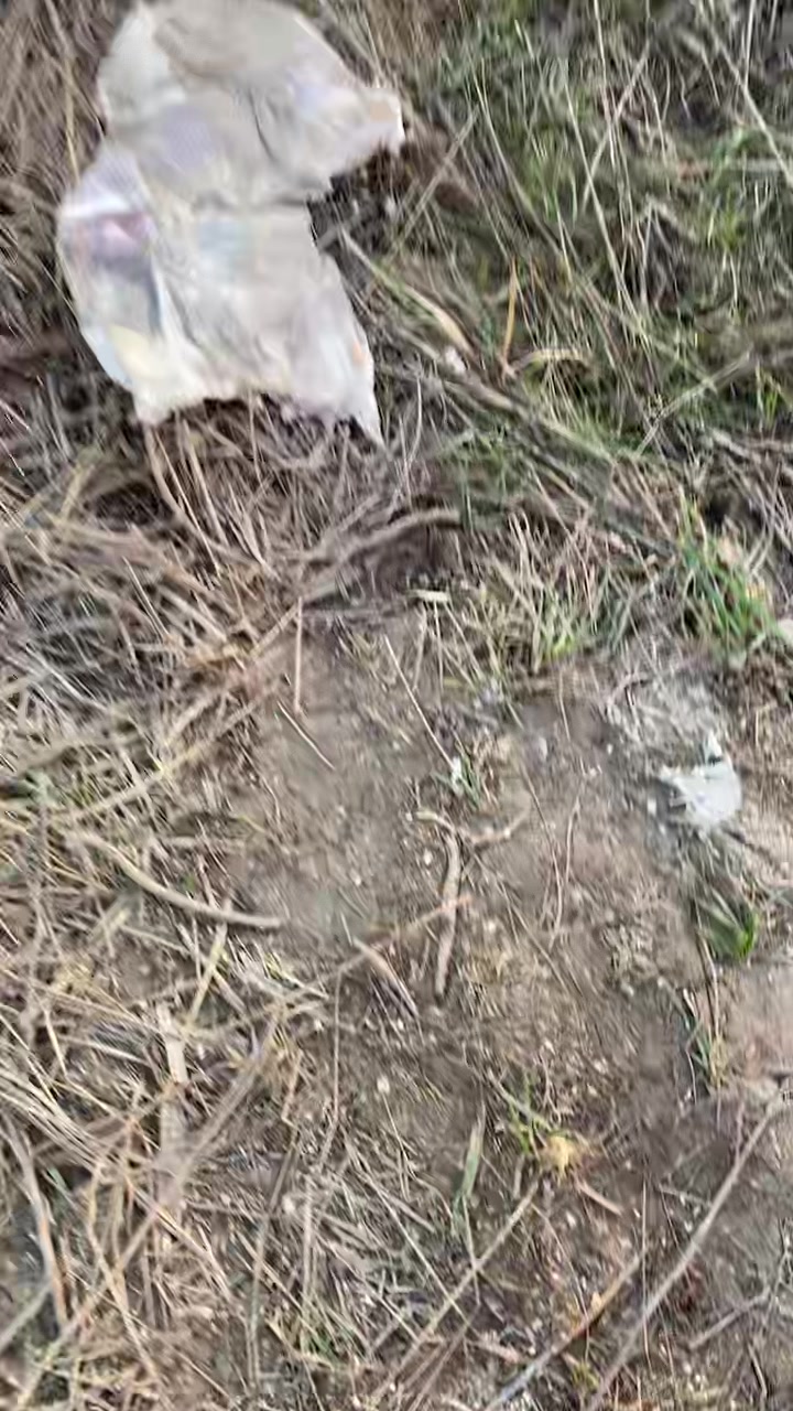 @Oviramo Laptaru