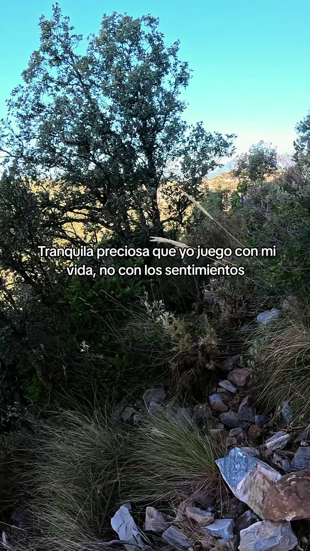 @BenjiVz Valverde