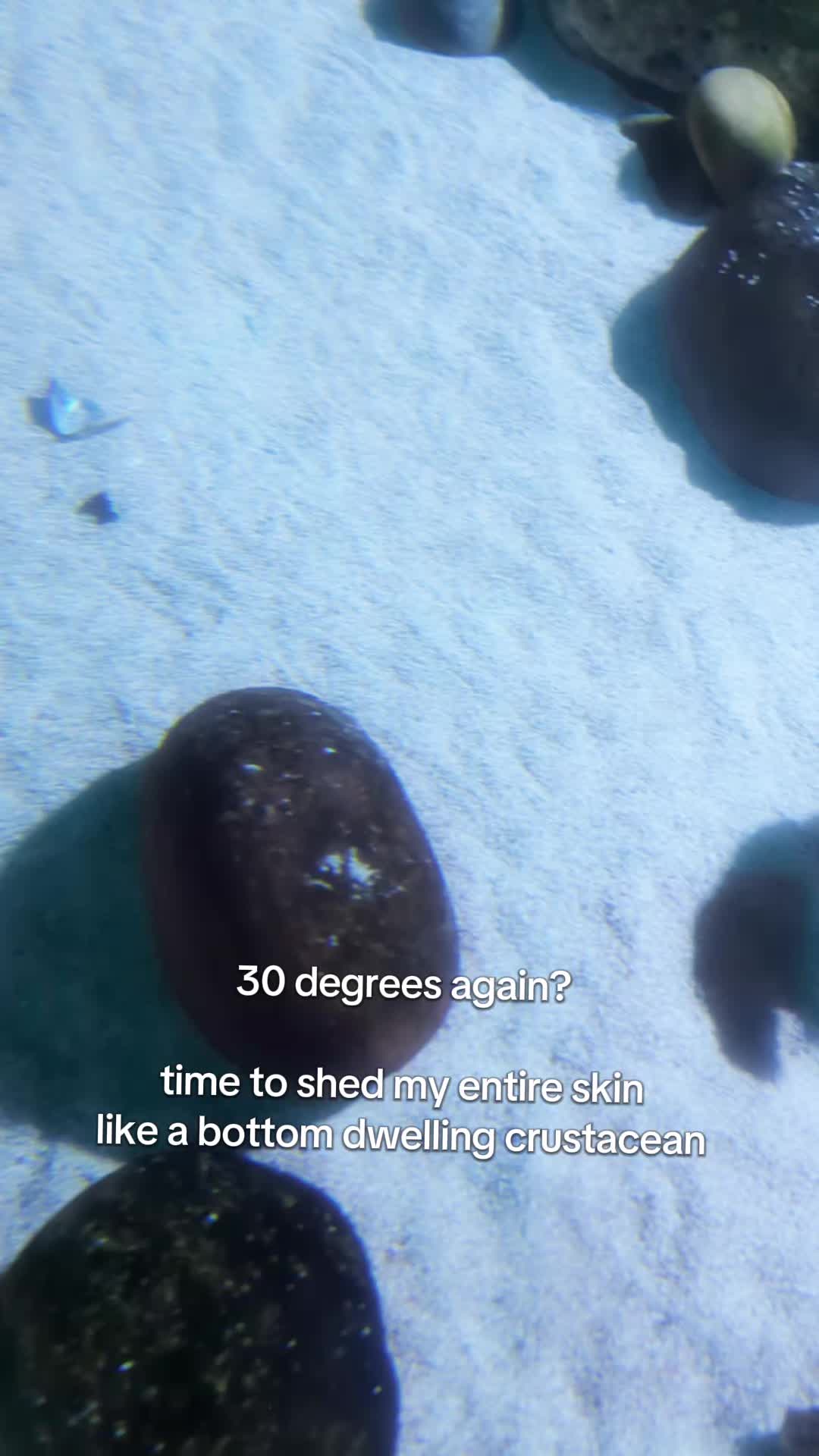 @BristolAquarium