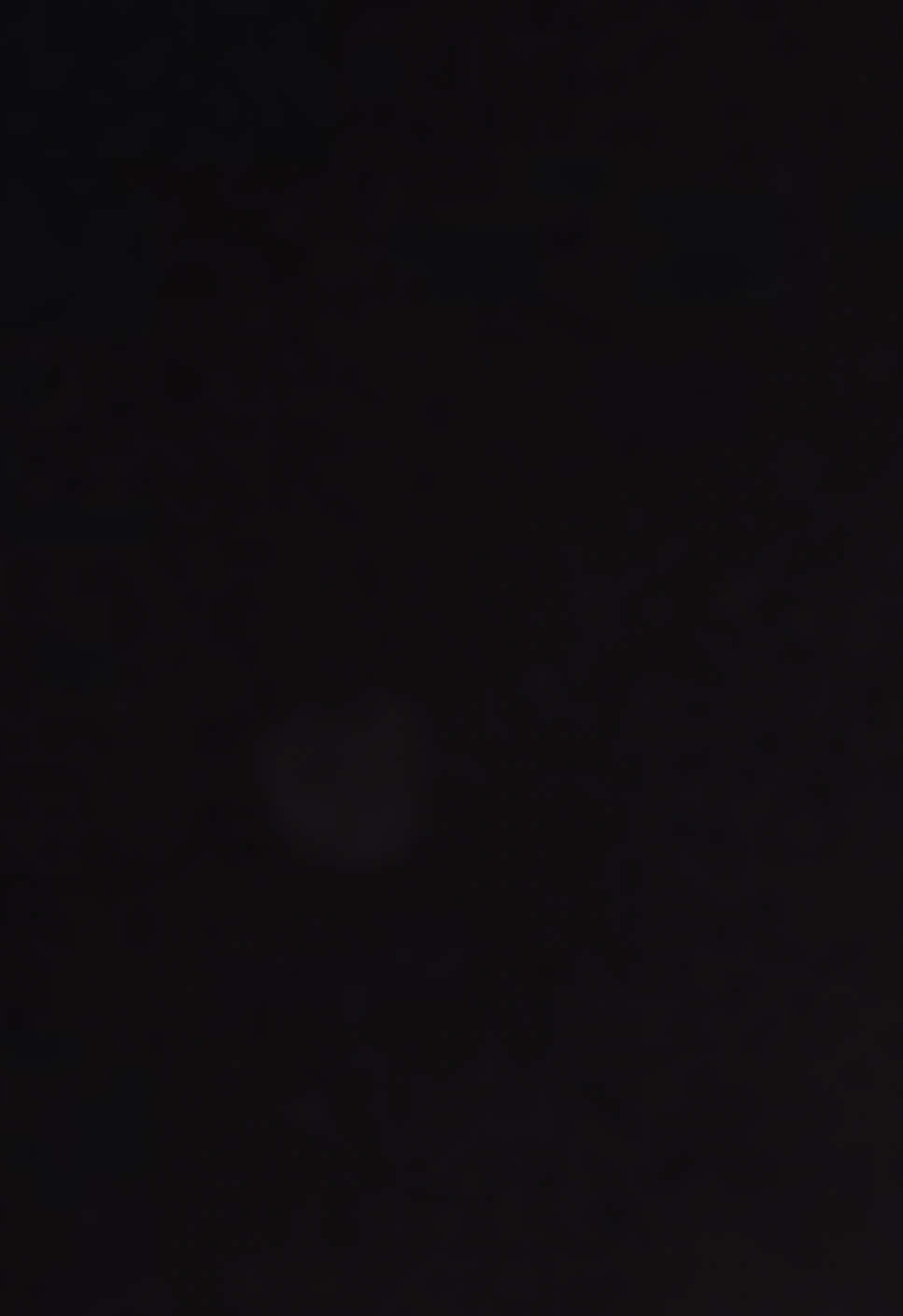 @𝐚𝐧𝐝𝐫𝐞𝐚❤️