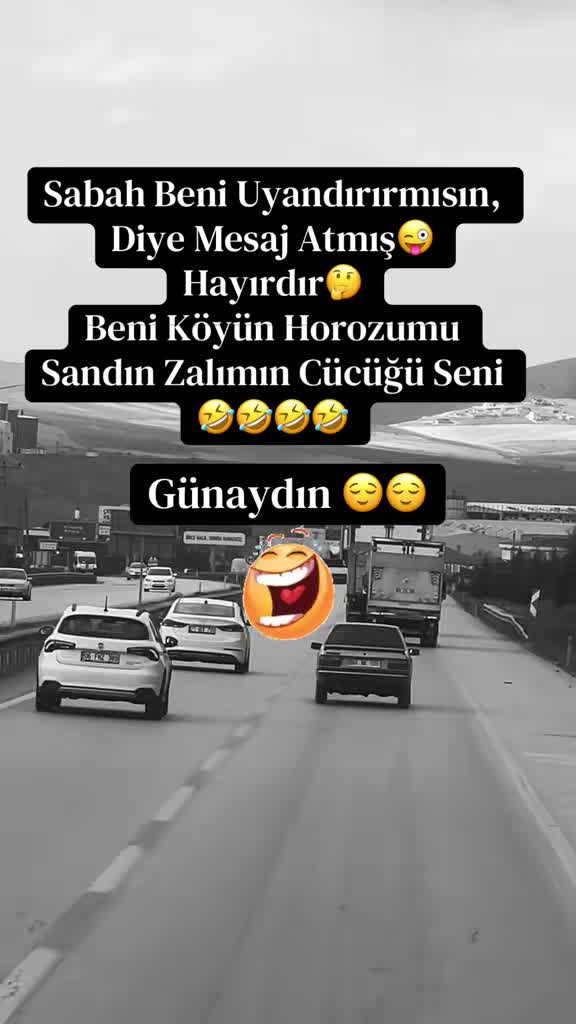 @✨🤍Ayliz_S🤍✨