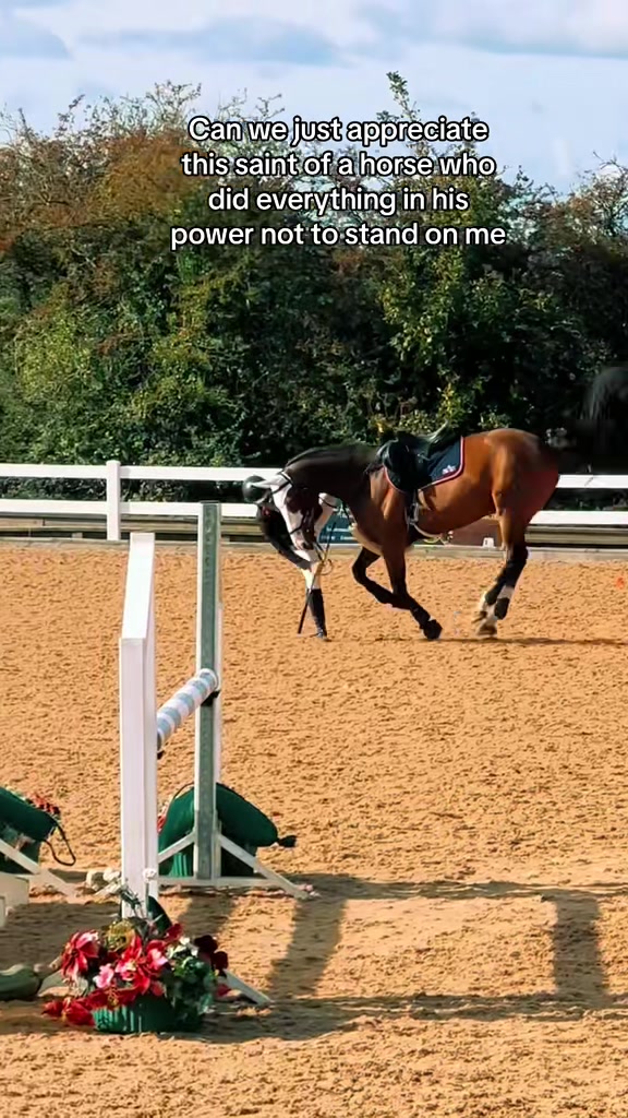 @LW_Equestrian
