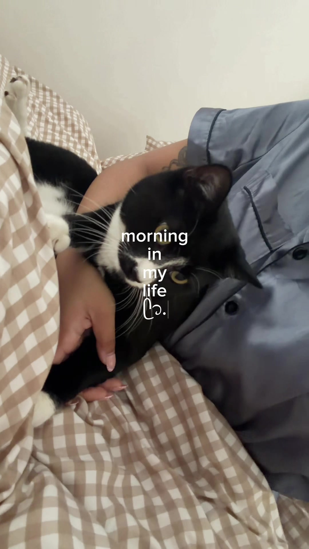 @rayᥫ᭡
