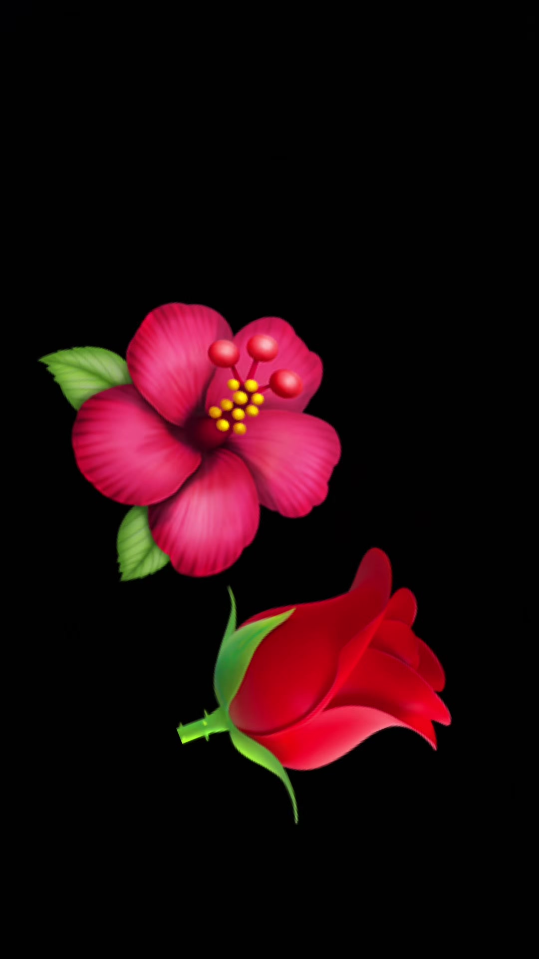 @hildavbermudes