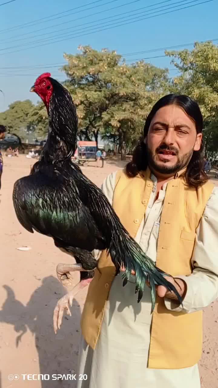 @Adnan Khan Aseel