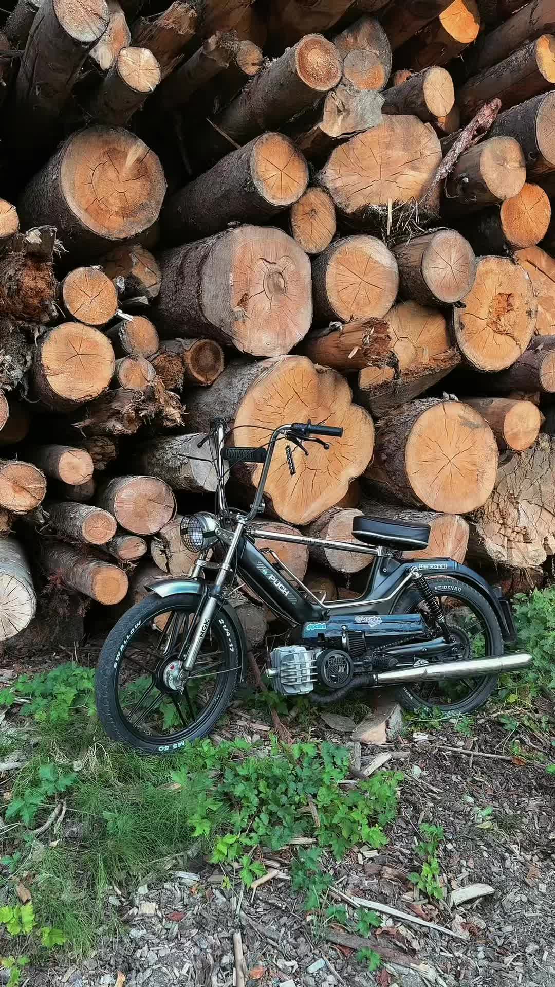 @Black_Puch_swiss