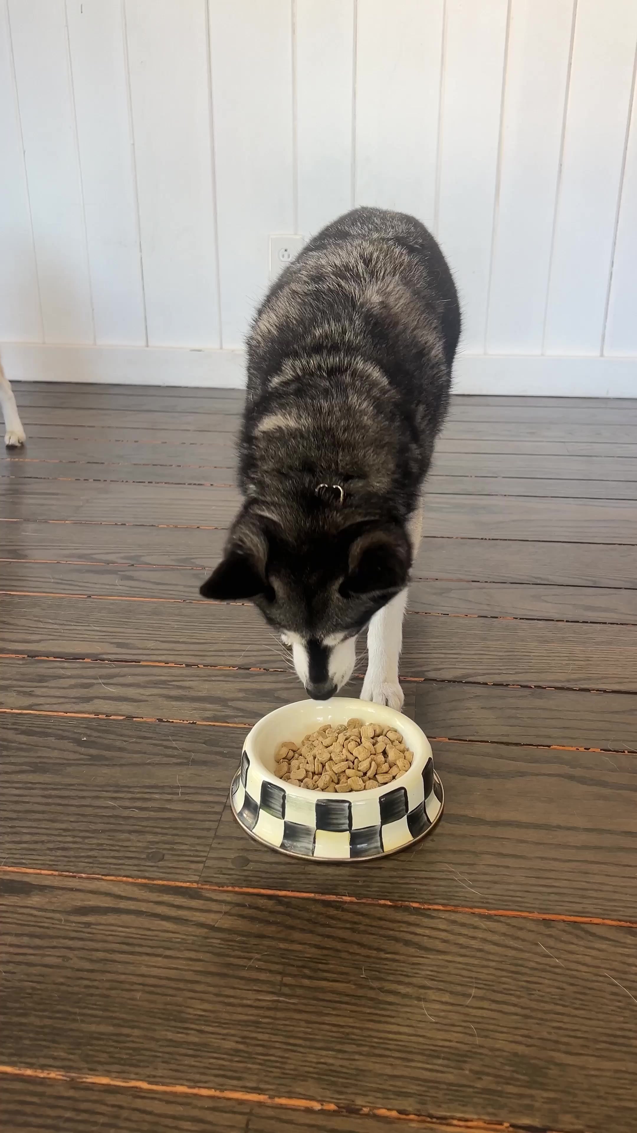 @lifewithkleekai