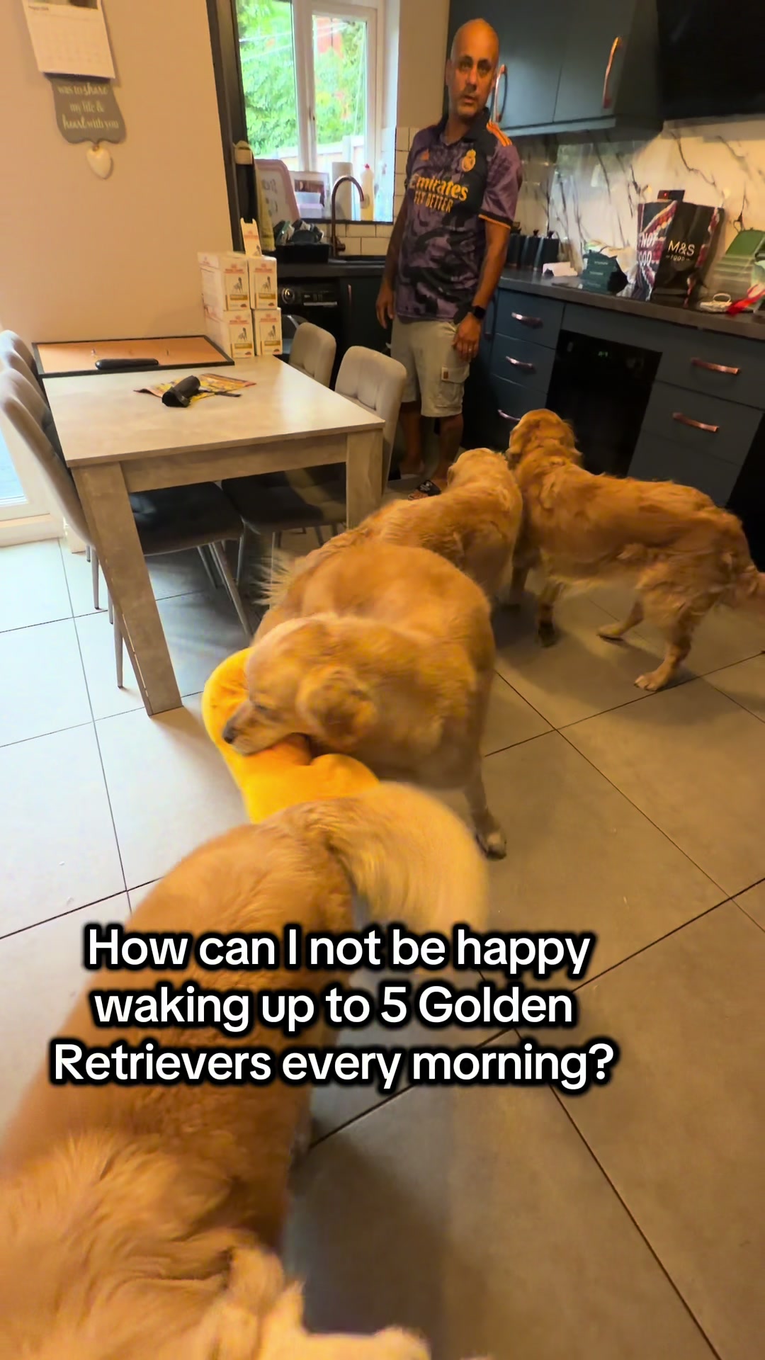 @5 Shades of Golden