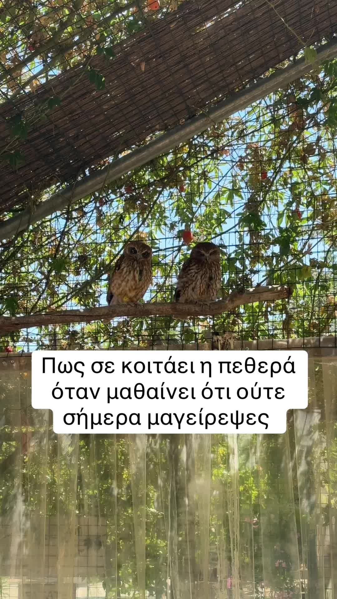 @'χαρά οικ.