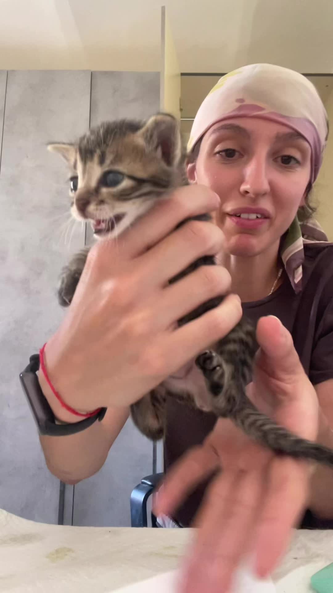 @chiaratarquini