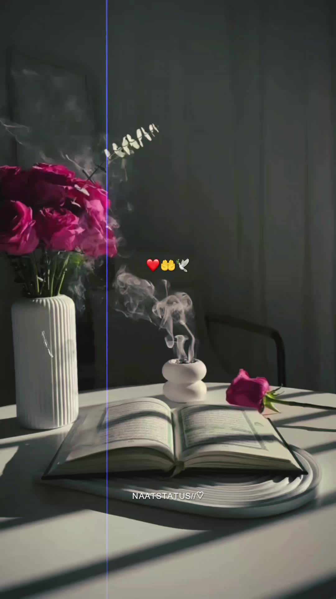 @𝑵𝑨𝑨𝑻 𝑺𝑻𝑨𝑻𝑼𝑺 ❣️