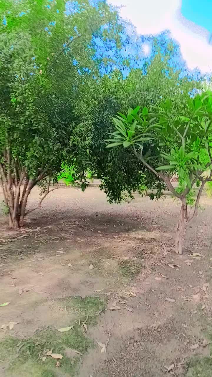 @Sonia shehzadi