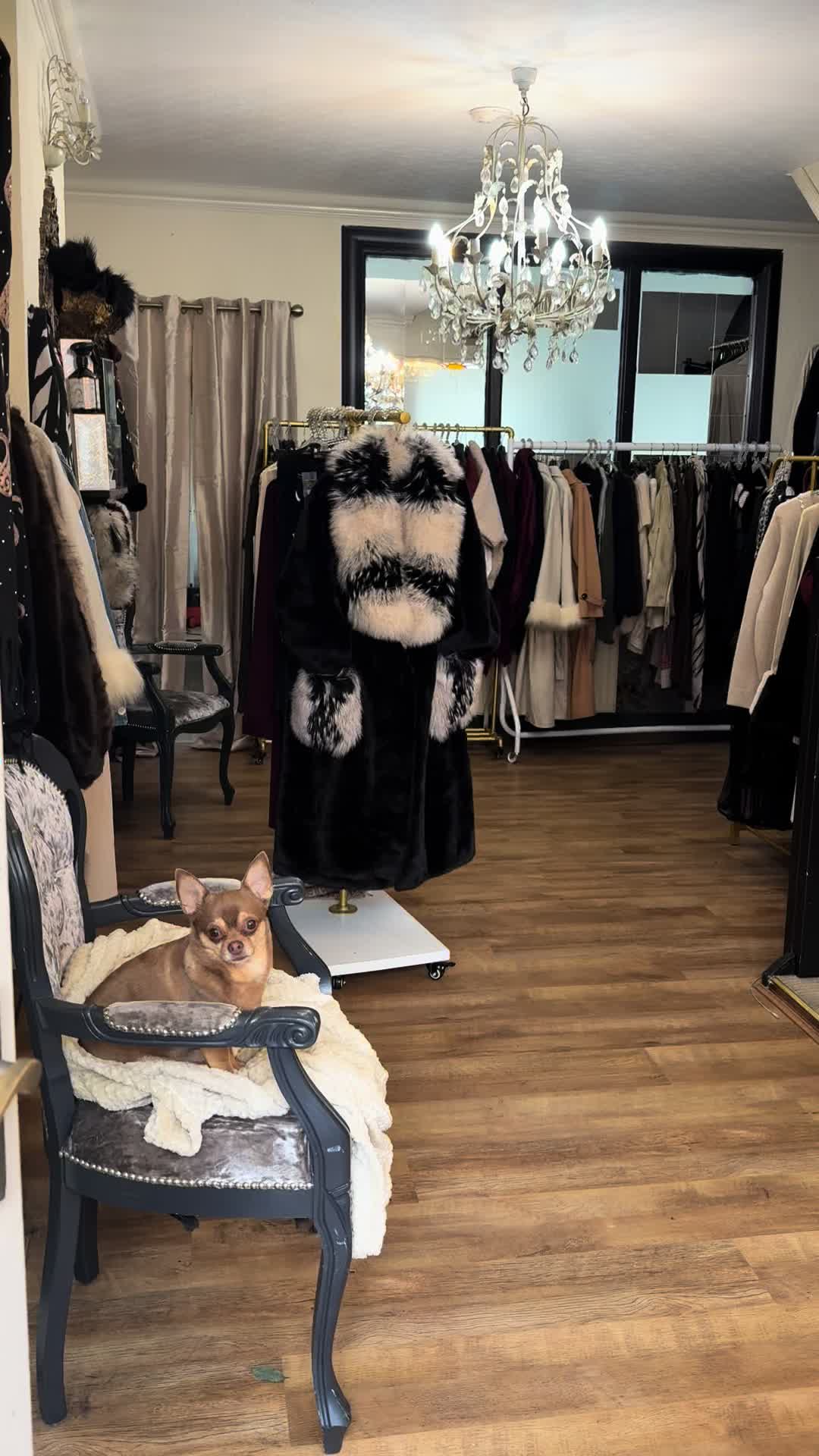 @Queenies Boutique