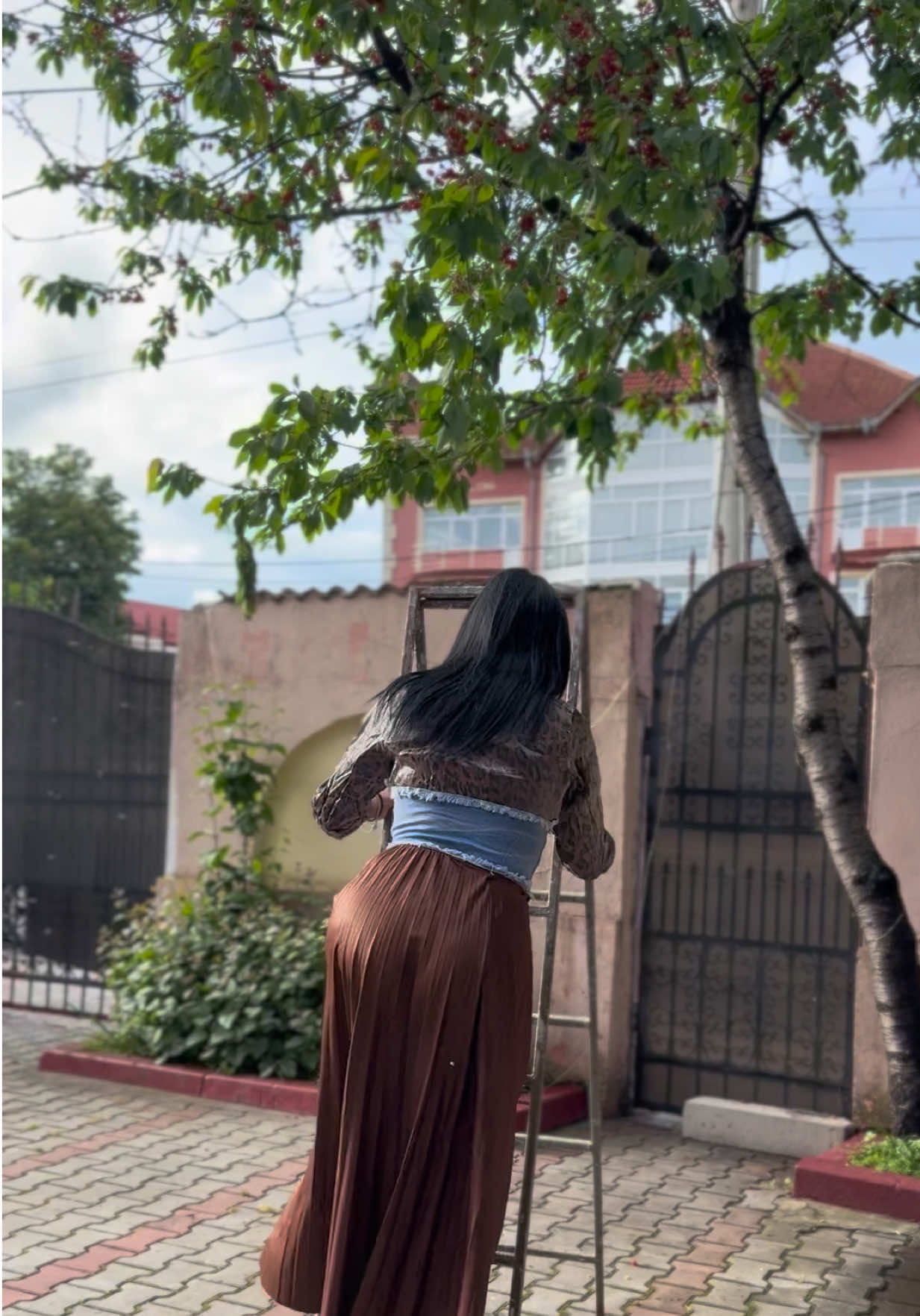 @Mihaela de la Strehaia
