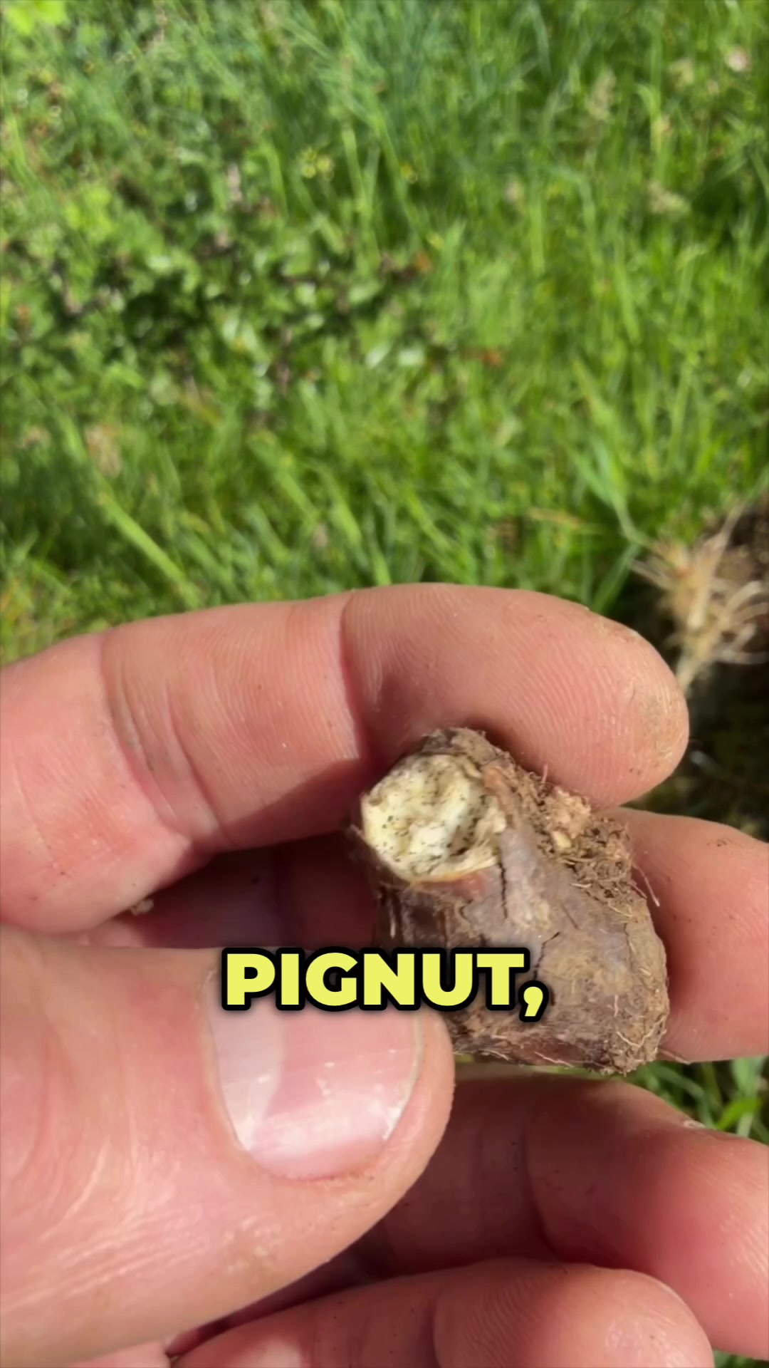 @Eat The Country