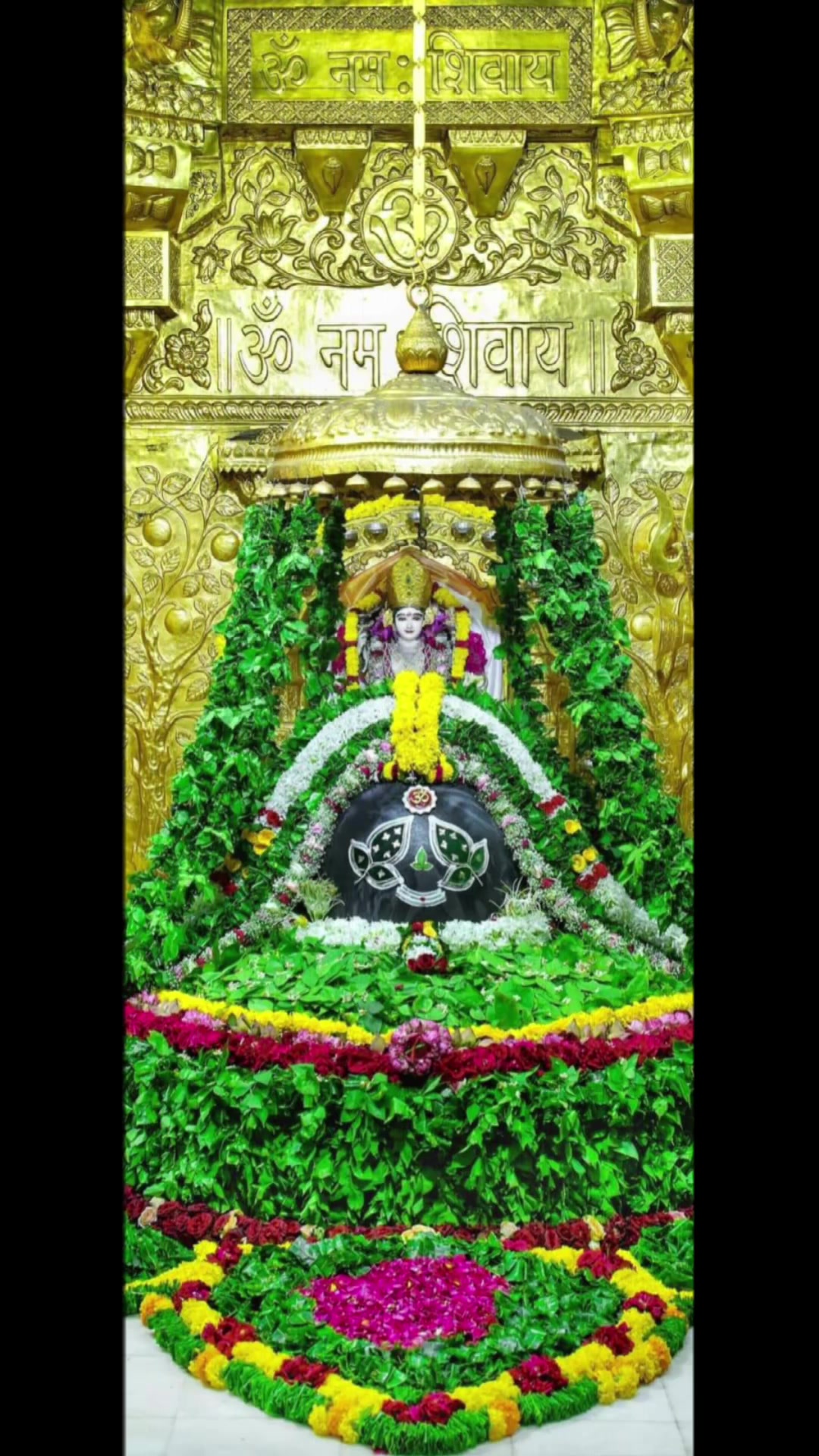 @Radha Radha 🙏