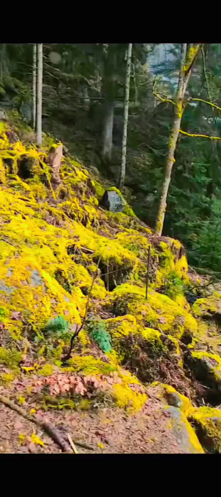 @Dani 007