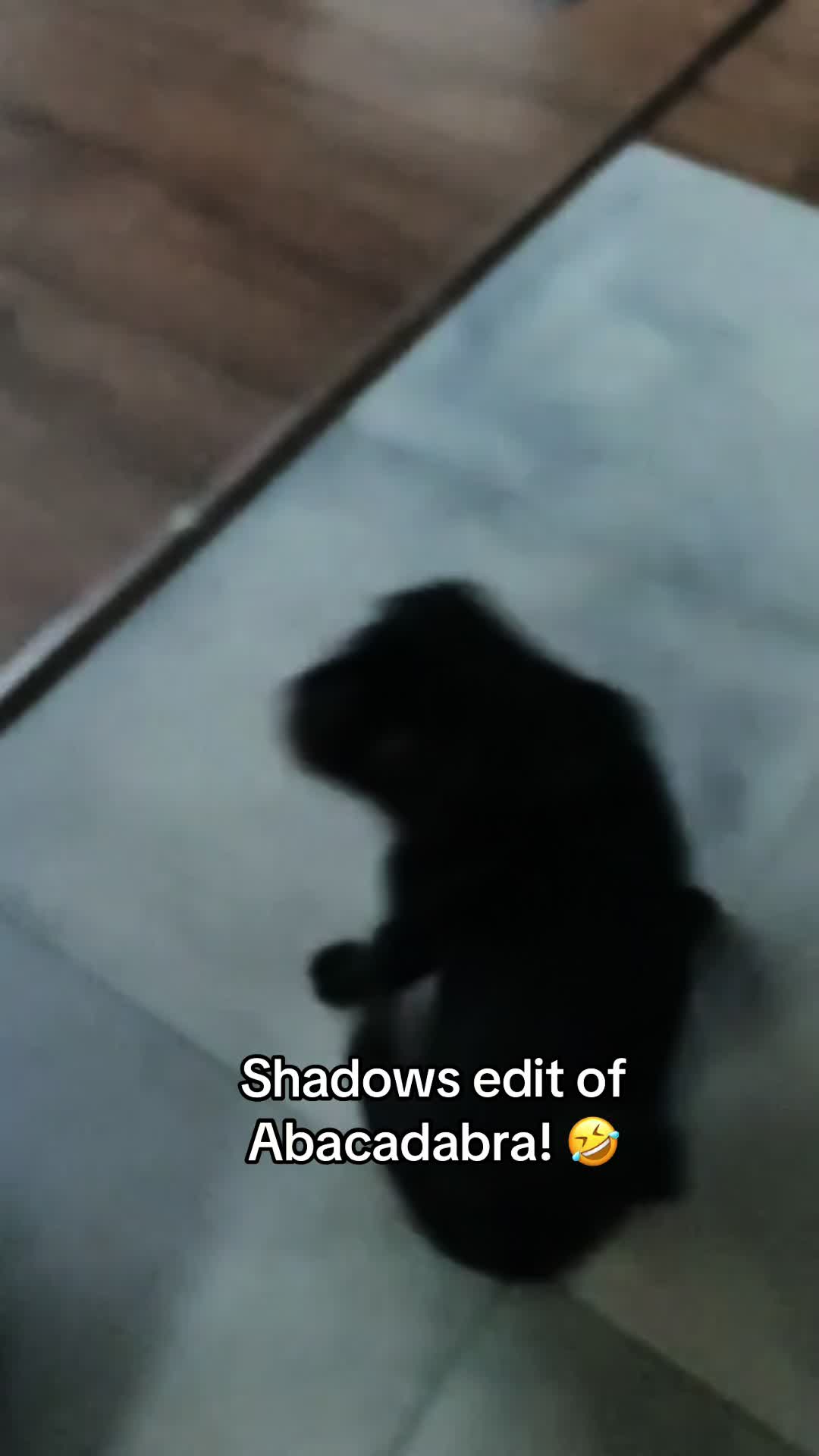 @Mr Shadow