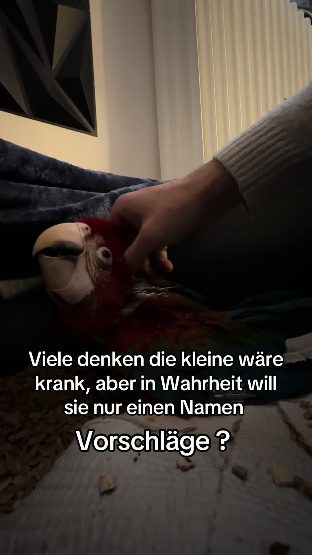 @Shankshaki