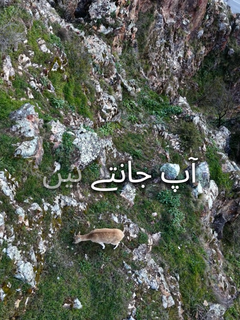@Rooh E Ehsaas