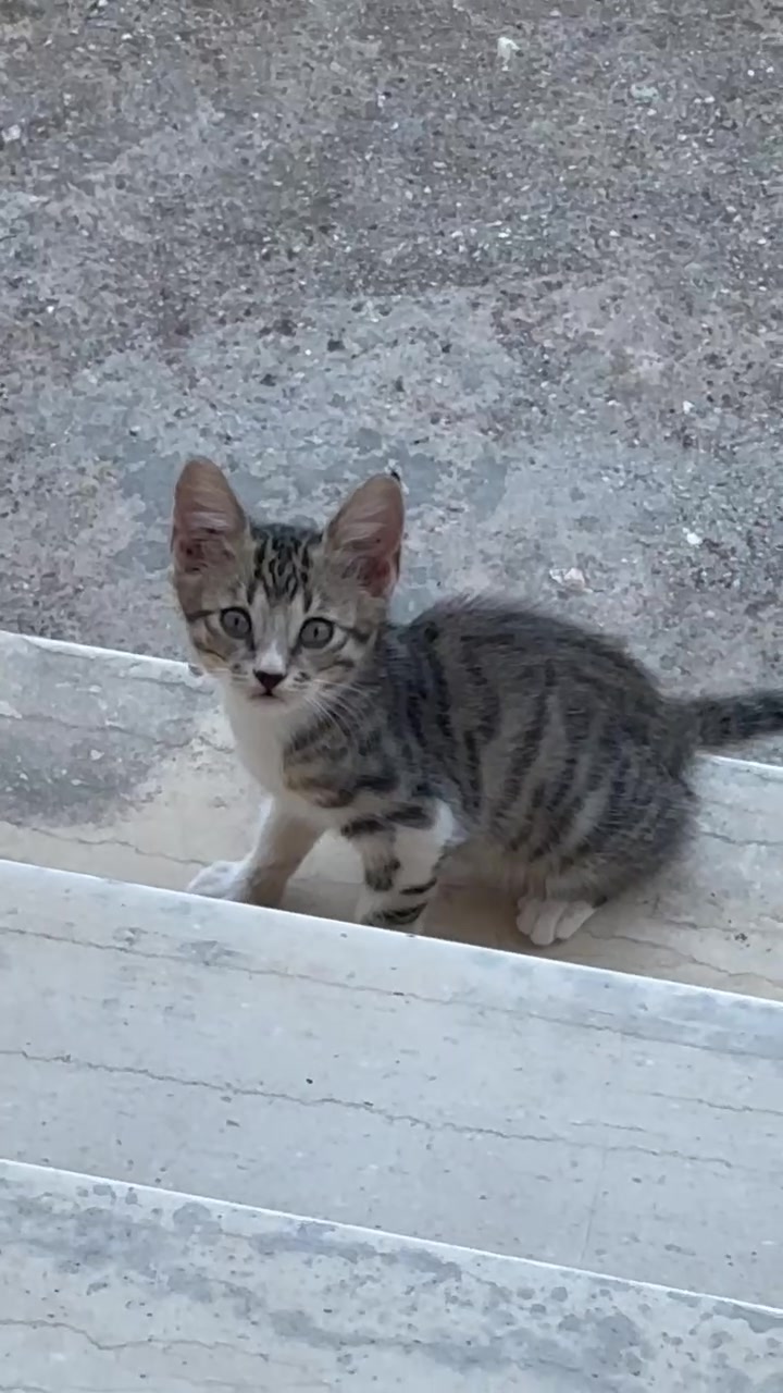 @Χρηστος Γραβος