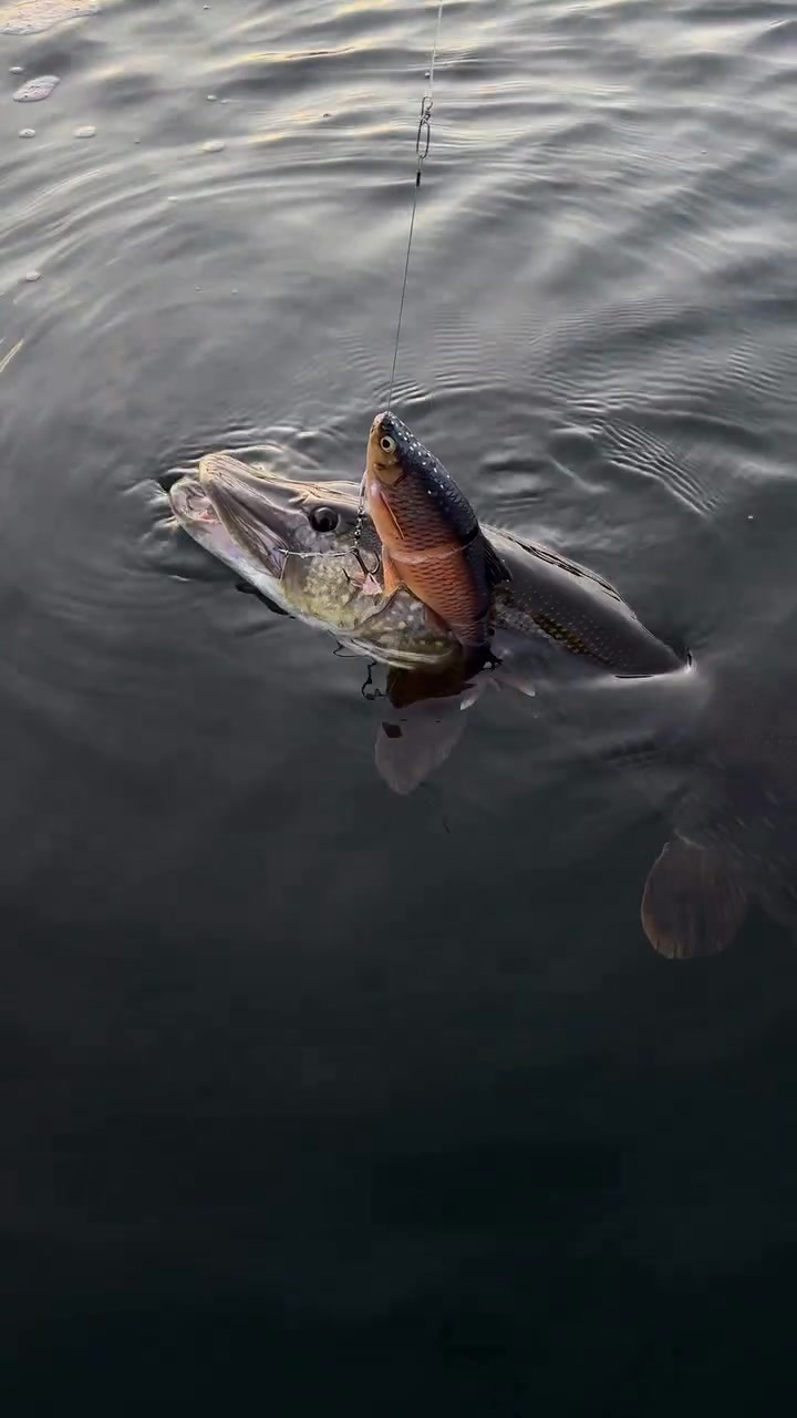 @Sorin Grigore