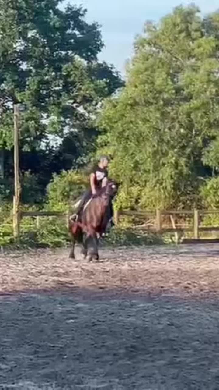 @My8hooves