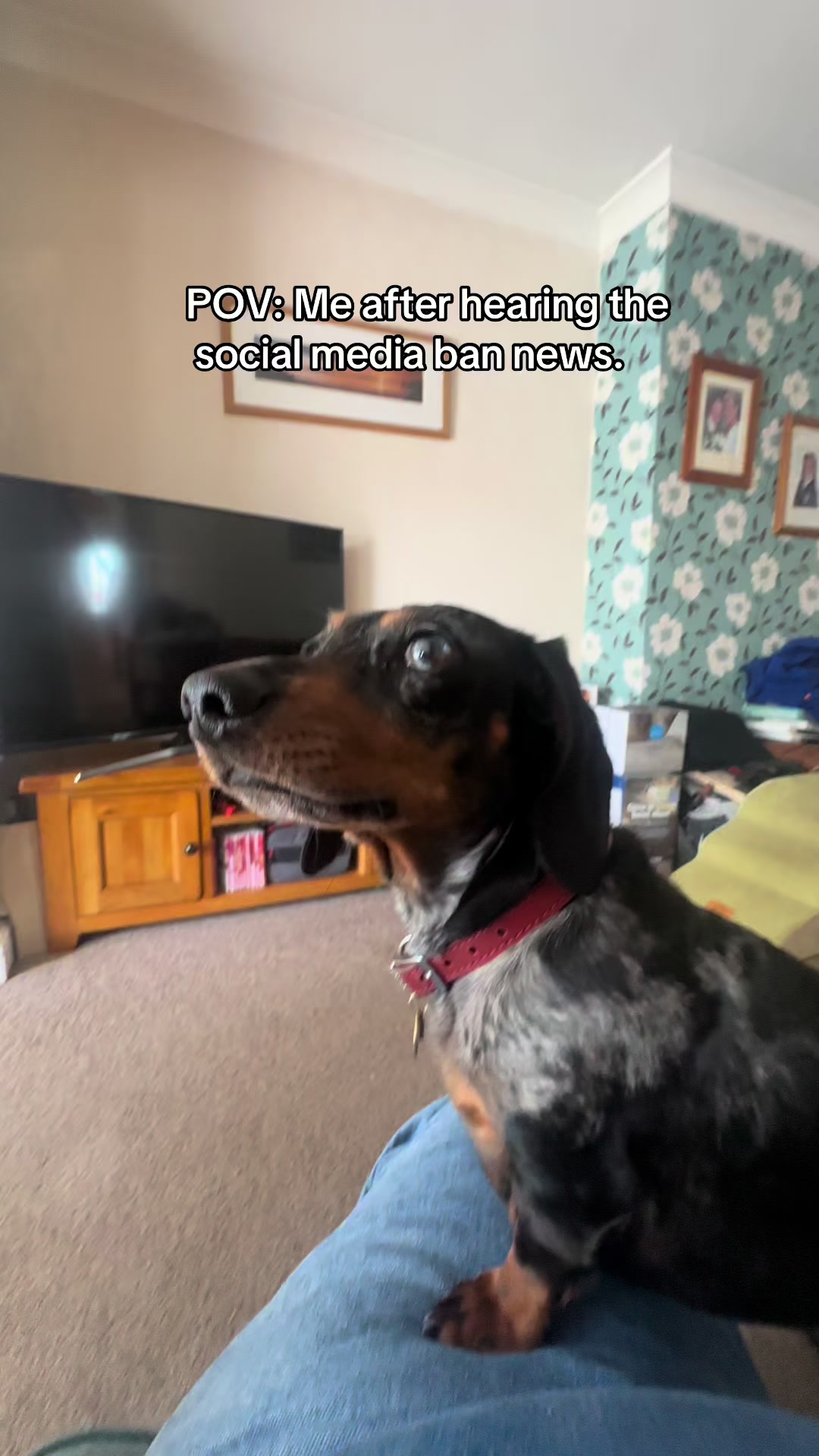 @dibblydobbly_dax