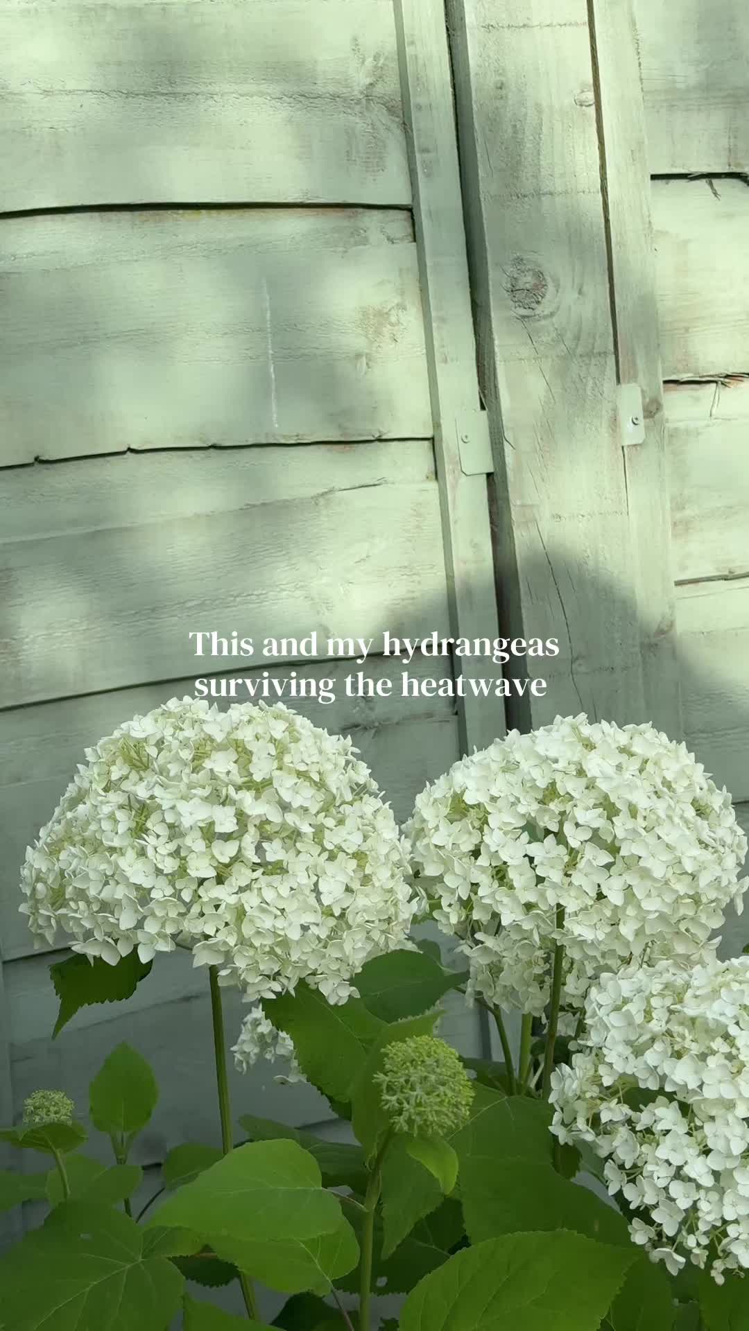 @lifelunaandlandscapes