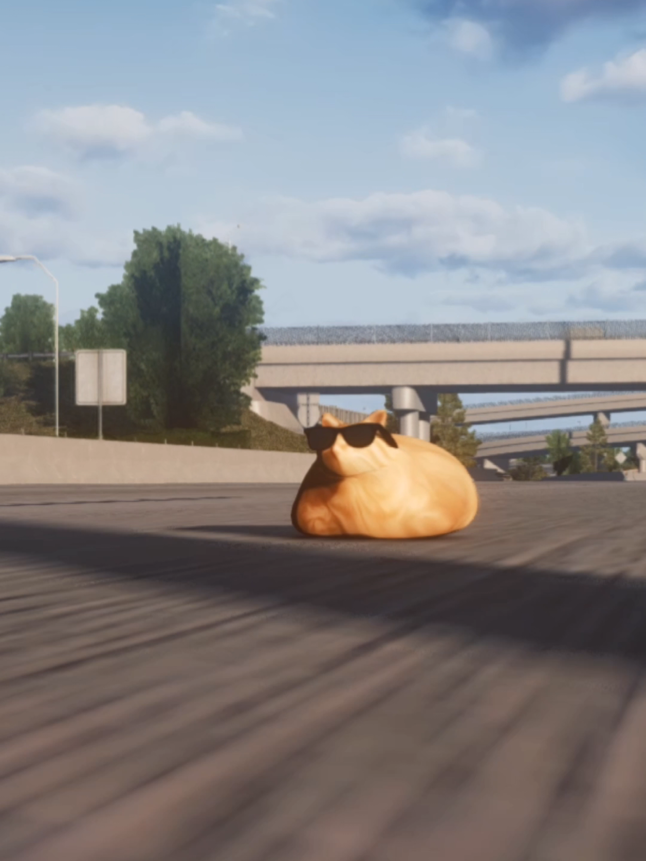 @Pablo the Race Cat