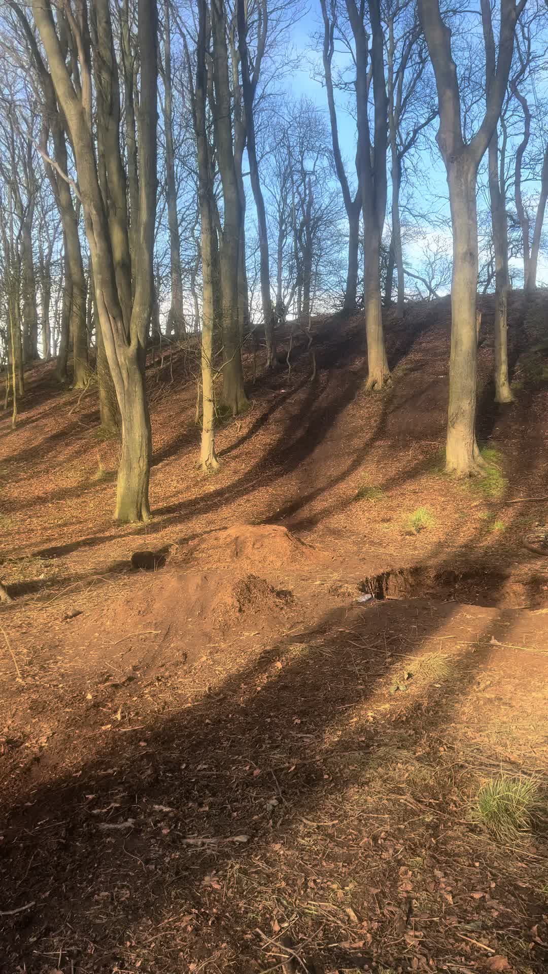 @alfieabbott200🎯