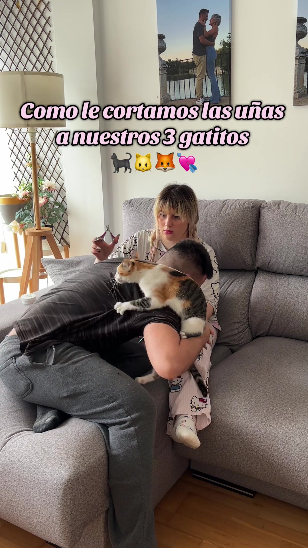 @- Alejandra 🐱💕