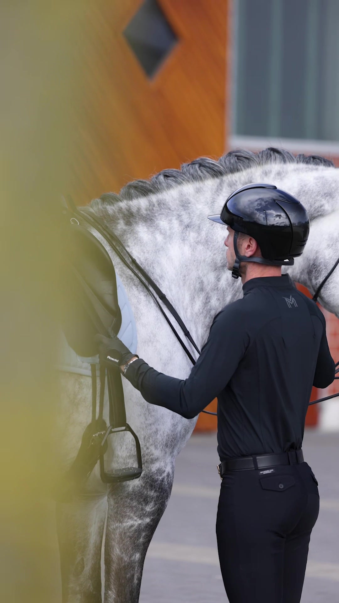@Maximilian Equestrian