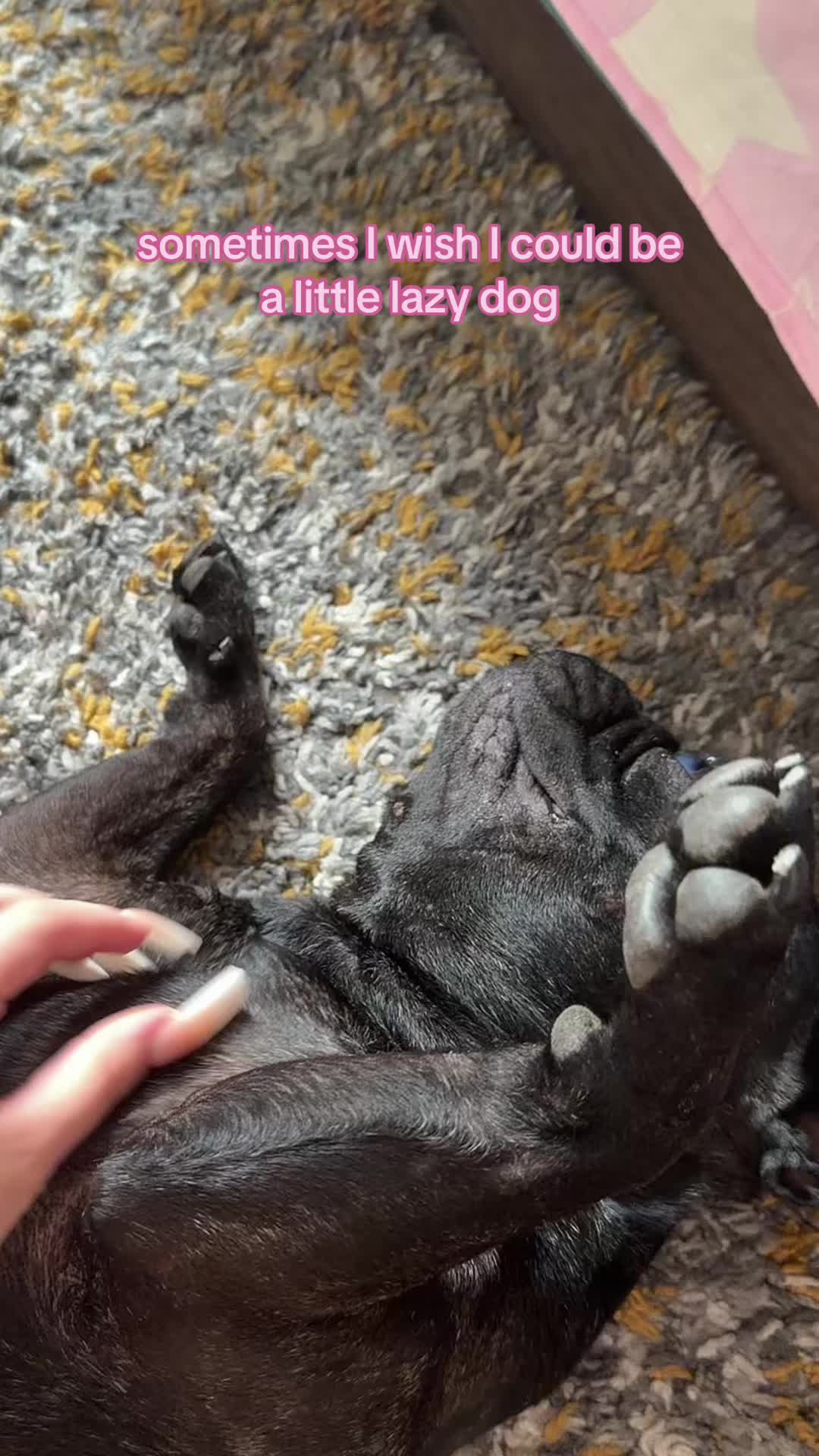 @💋