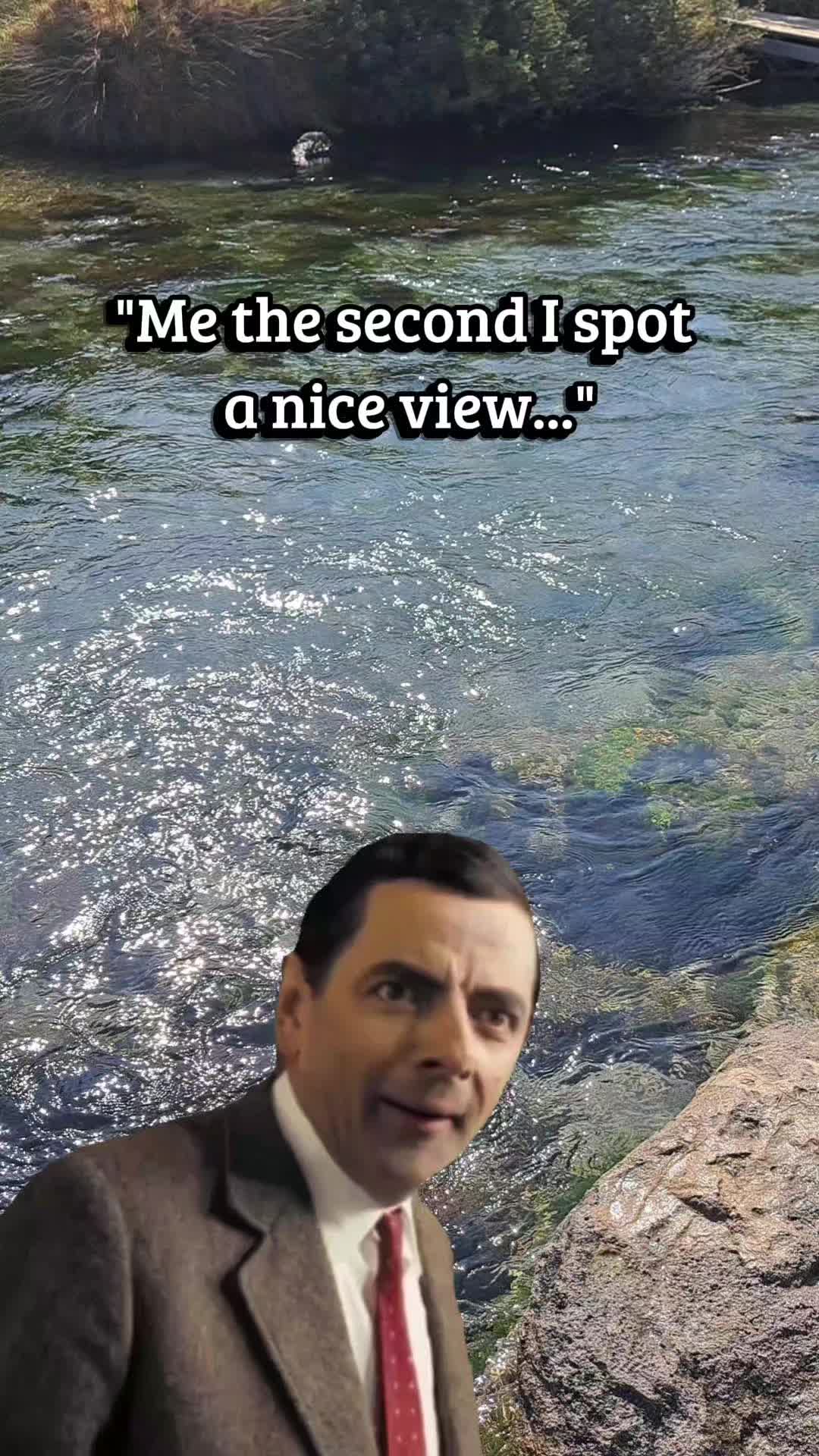 @WDDesignVibe.