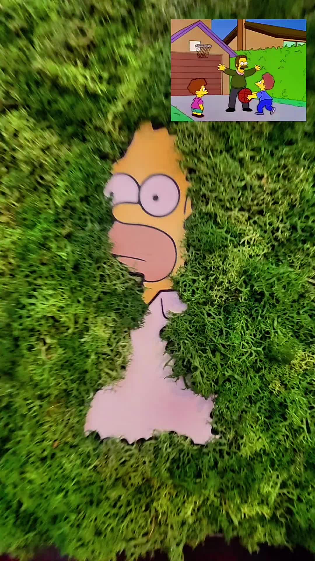@dslump