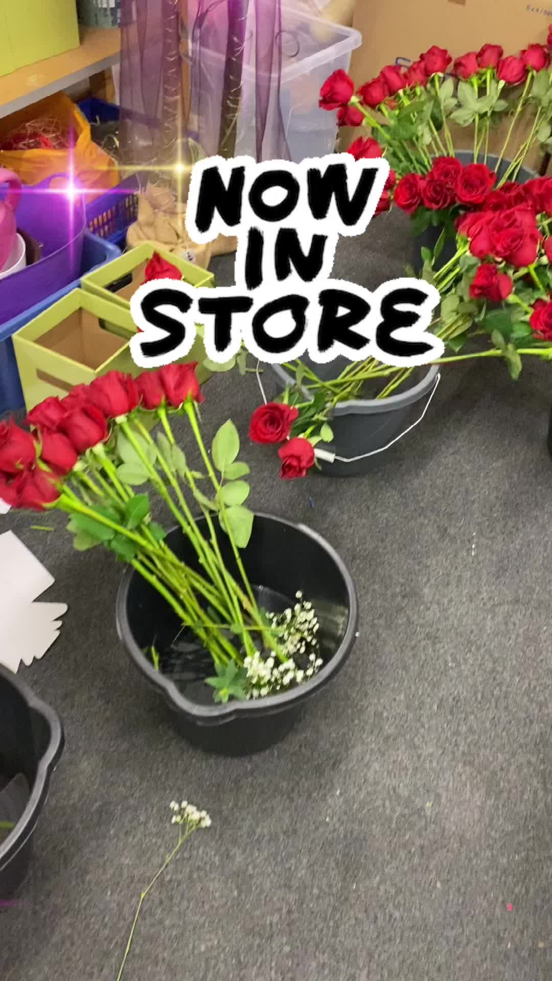 @Kadoo