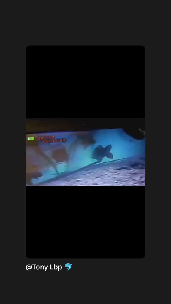 @Loirbaits