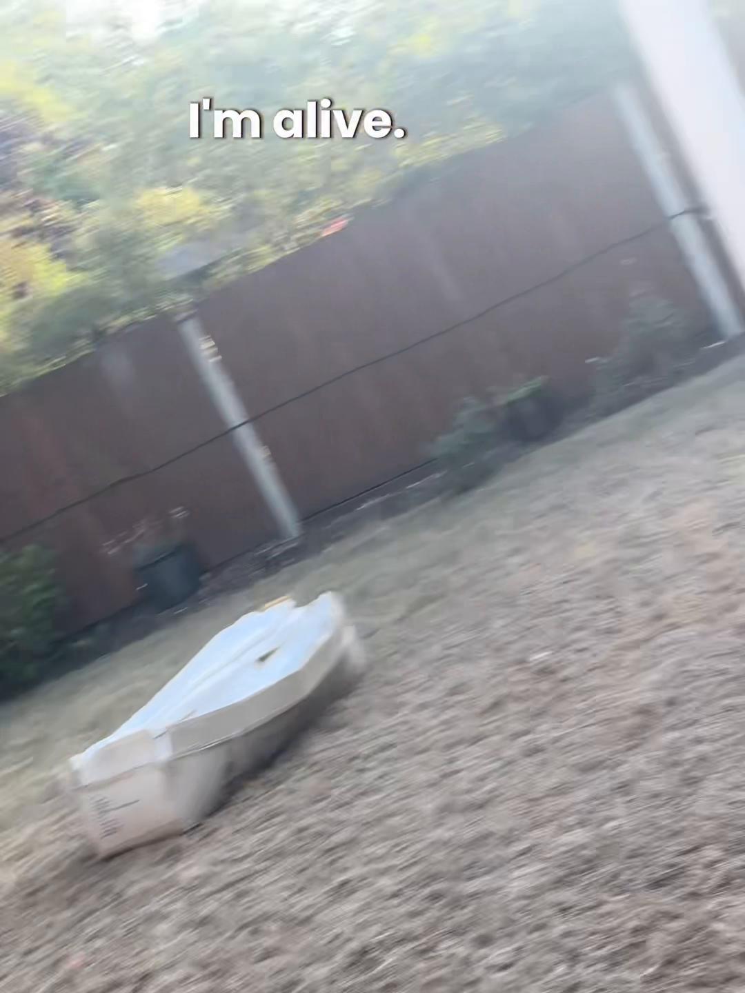 @RockyTheMutt
