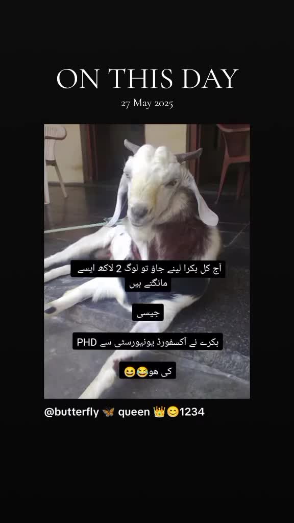 @🐰⃕⃝𒌋꯭🇧𝐫𝐨𝐤𝐞𝐧𝆺𝅥💔⃝🦋