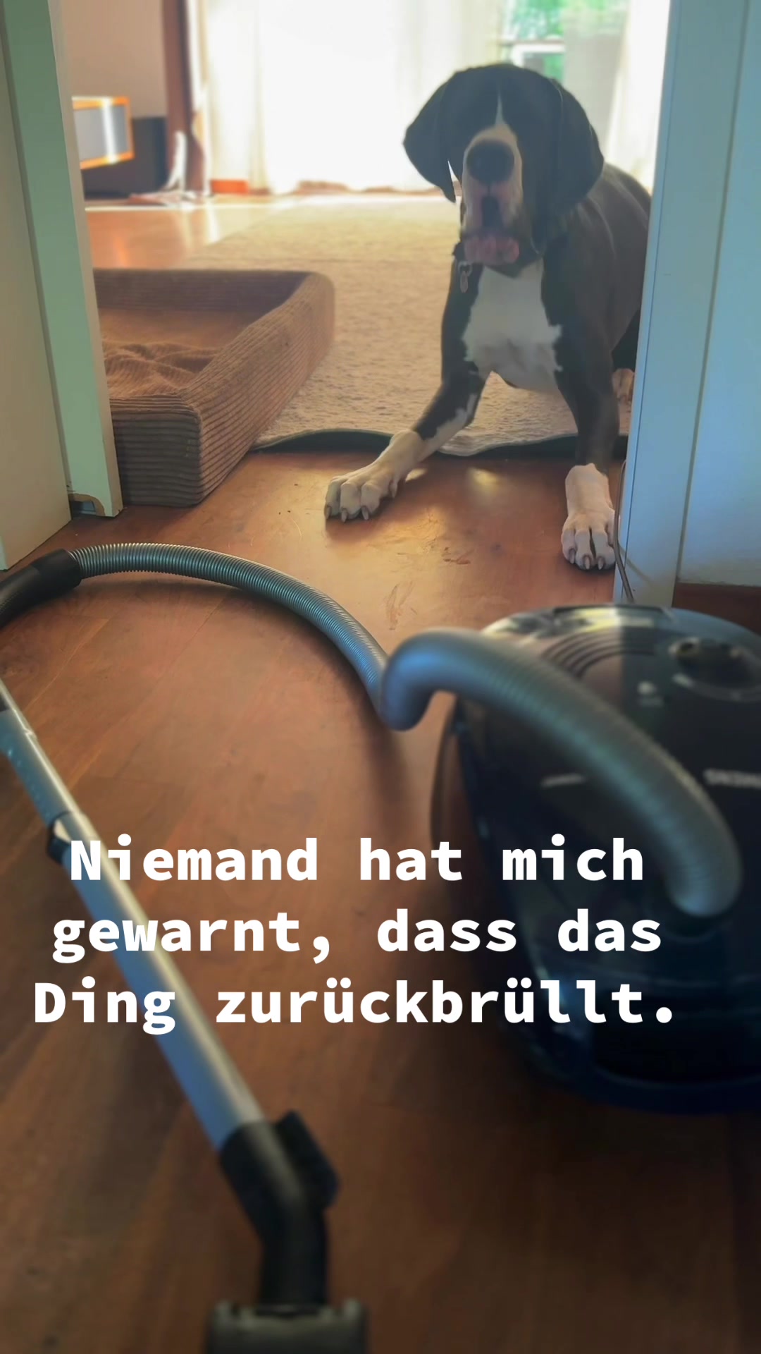 @MissBosse