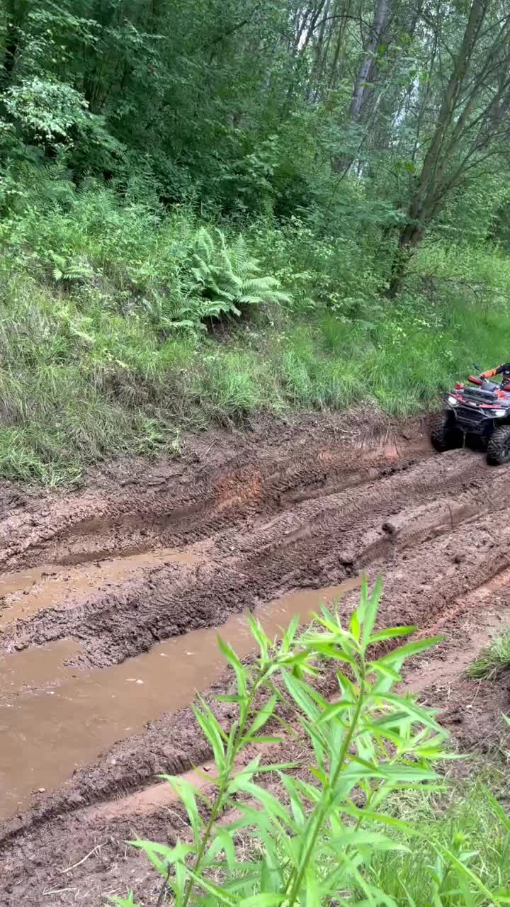 @🇵🇱Yankees😜AtvPitbullSquad