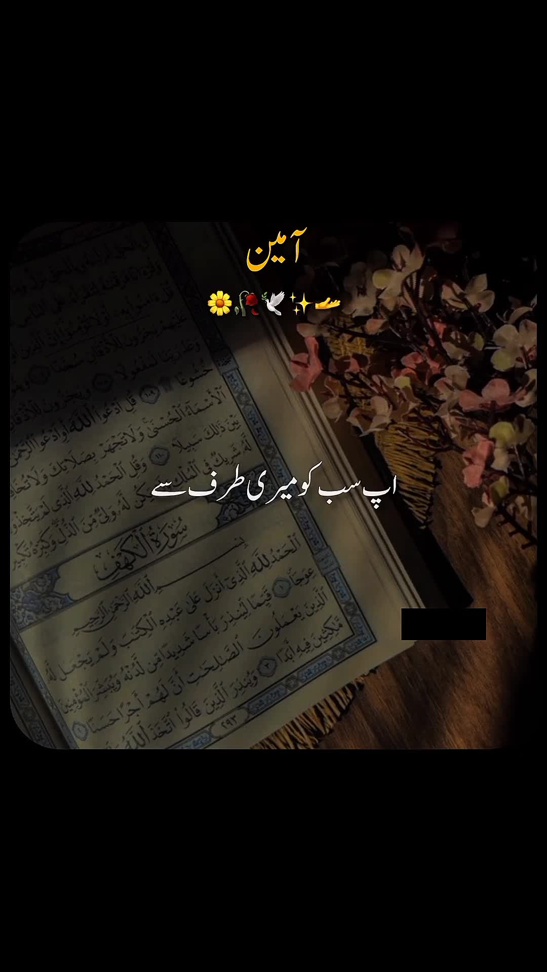@✨dilawar edits✨