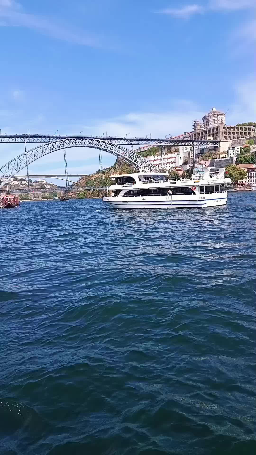 @porto ribeira