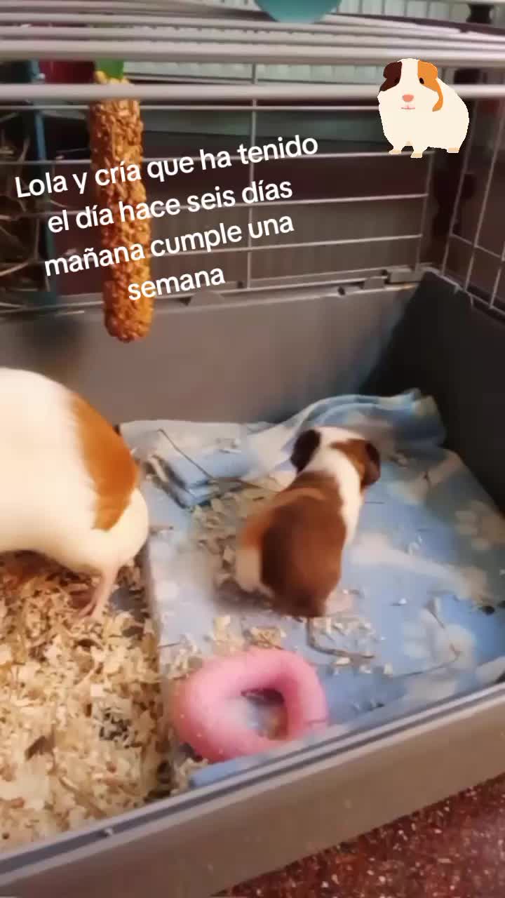 @María Luisa Testera