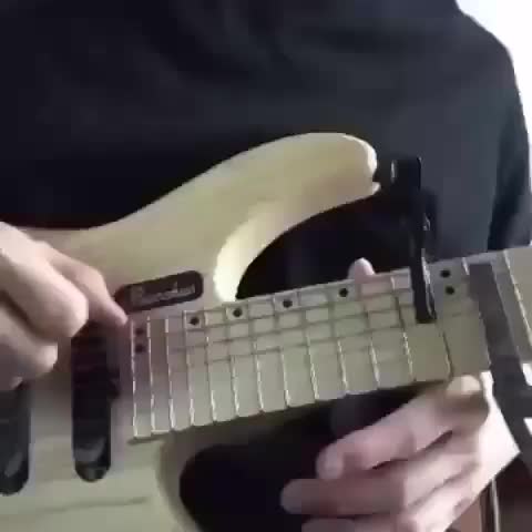 @Guitar Family