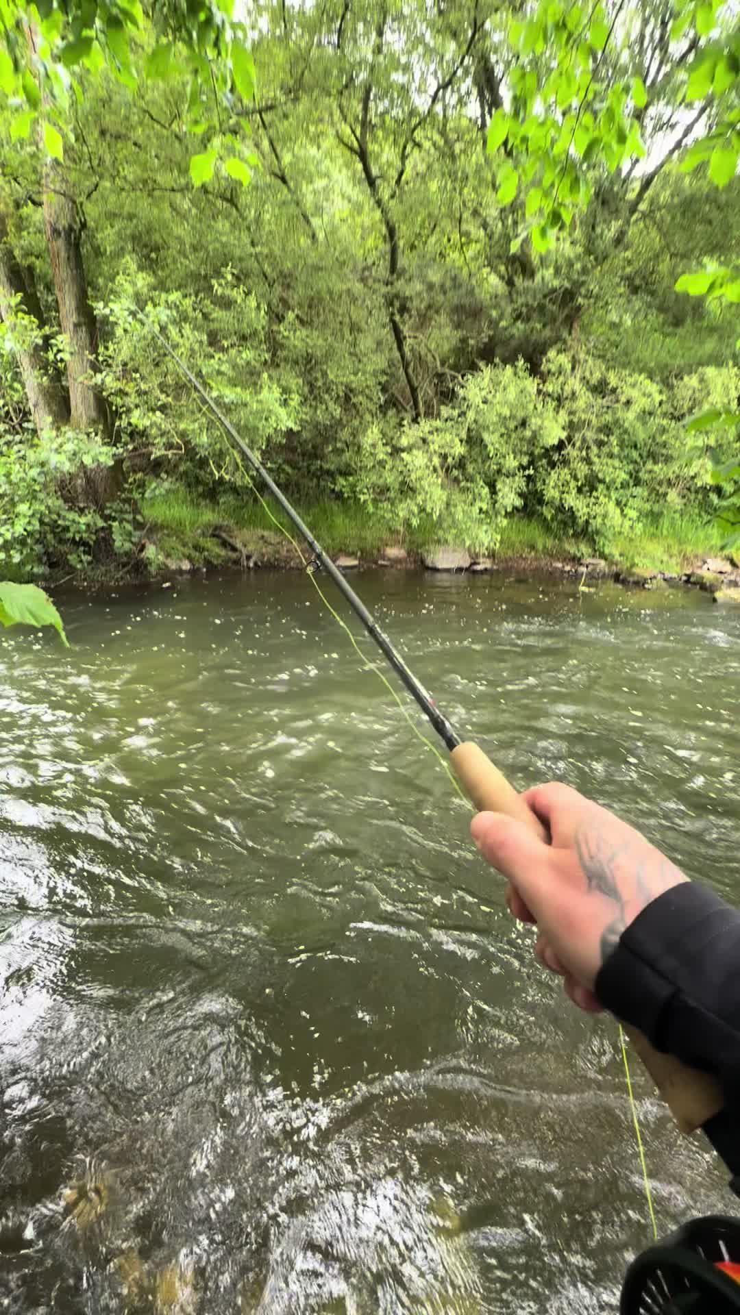 @Alba Trout 🏴