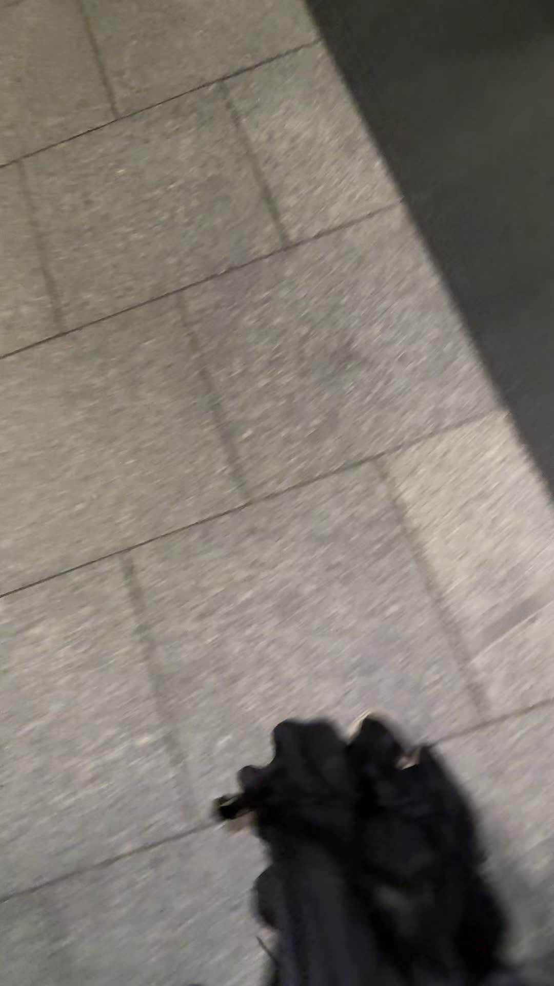@snezbonez