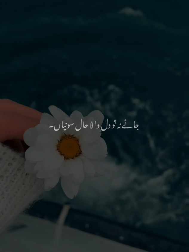 @𝙎𝙤𝙪𝙡𝙞𝙭 🎧