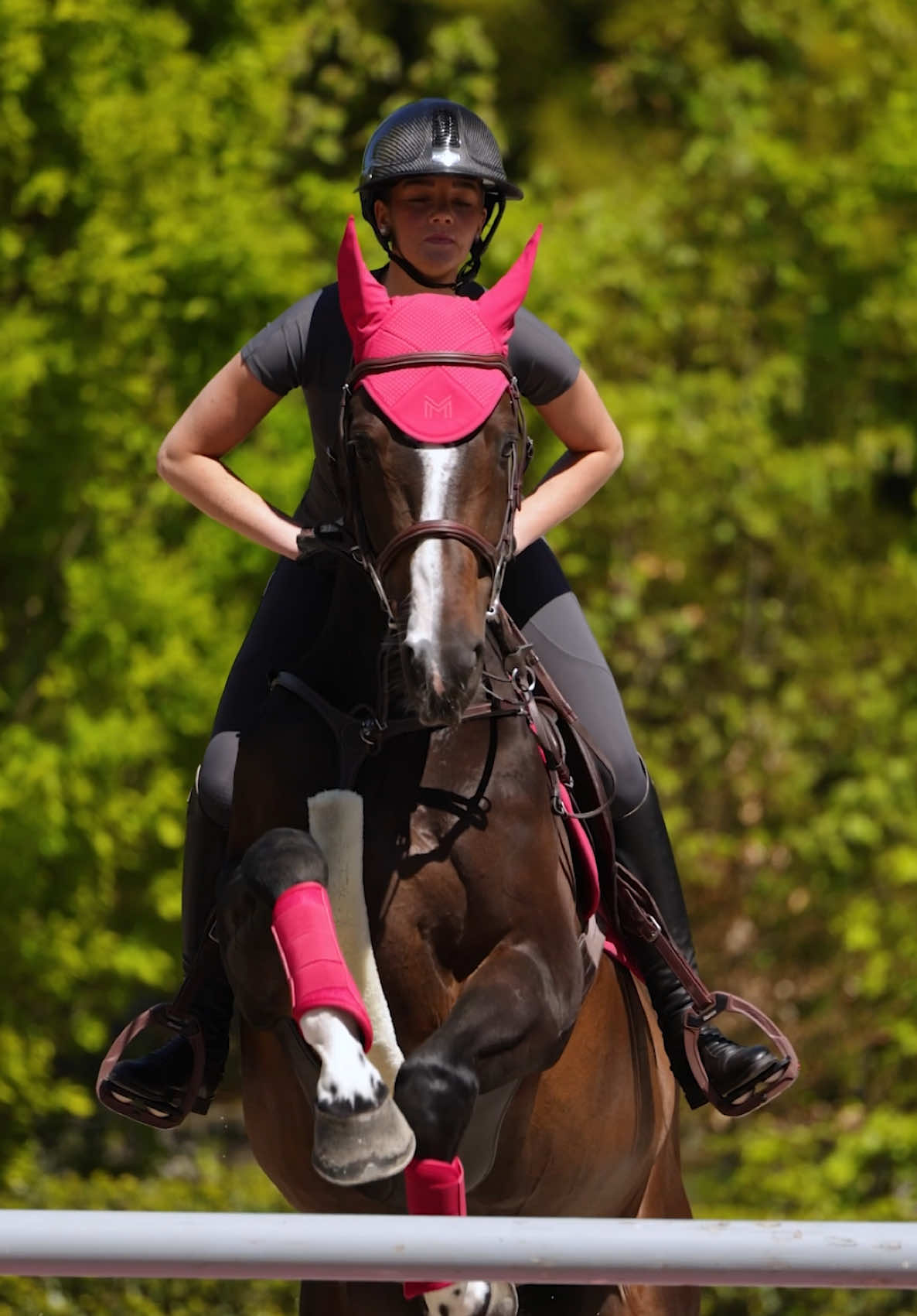 @Maximilian Equestrian